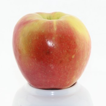 https://cdn.powered-by-nitrosell.com/product_images/27/6592/3283%20honeycrisp.jpg