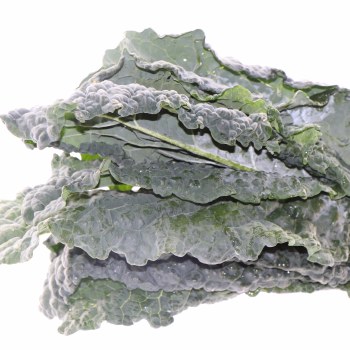 Lacinato Kale
