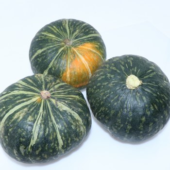 Kabocha Squash