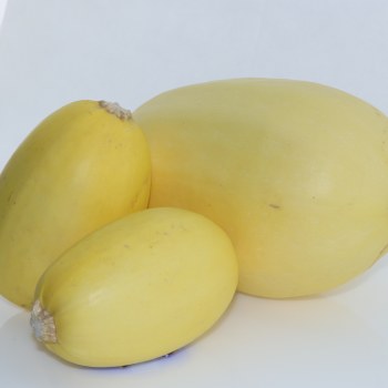 Spaghetti Squash