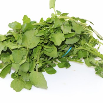 Watercress
