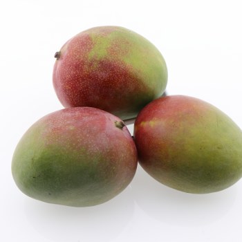 https://cdn.powered-by-nitrosell.com/product_images/27/6592/79%20mangos.jpg