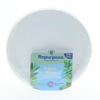 Repurpose 10 Inch Plates