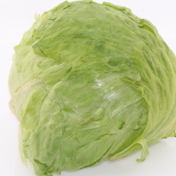 Iceberg Lettuce