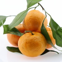 Mandarins