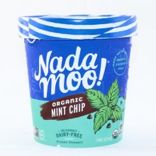 Nada Moo Mint Chip Ice Cream