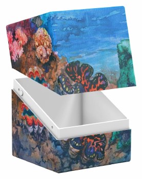Ultimate Guard RTE Boulder Coral Places Seablue Hush 100+