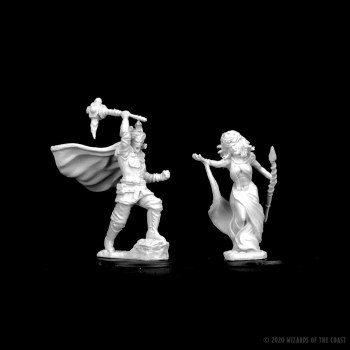 D&D Nolzurs Marvelous Miniatures Medusas