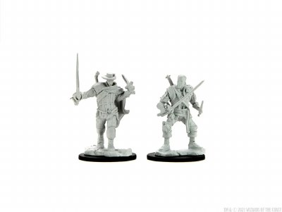 D&D Nolzurs Marvelous Miniatures Human Male Bards