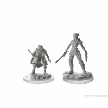 D&D Nolzurs Marvelous Miniatures Elf Rogue & Half-Elf Rogue Protégé