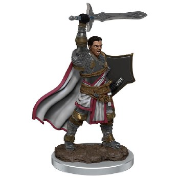 D&D Icons of the Realms Premium Male Human Paladin