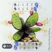 Petrichor Cactus Promo Tile