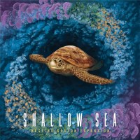 Shallow Sea Nesting Season Expansion EN