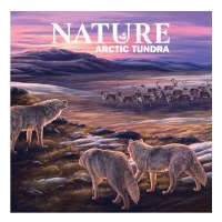 Nature Arctic Tundra Module EN