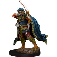D&D Icons of the Realms Premium Miniatures Elf Rogue Male D&D Icons of the Realms Premium Miniatures Elf Rogue Male