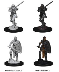 D&D Nolzurs Marvelous Minis Unpainted Female Human Fighter