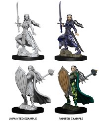 D&D Nolzurs Marvelous Minis Unpainted Female Elf Paladin