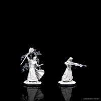 D&D Nolzurs Marvelous Miniatures Elf Wizard Female