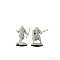 D&D Nolzurs Marvelous Miniatures Male Human Barbarian