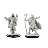 D&D Nolzurs Marvelous Miniatures Male Human Druid