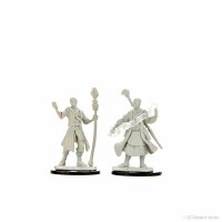 D&D Nolzurs Marvelous Miniatures Male Half-Elf Wizard