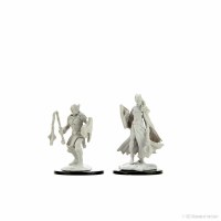 D&D Nolzurs Marvelous Miniatures Female Kalashtar Cleric