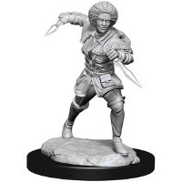 Magic Unpainted Miniatures Kaya