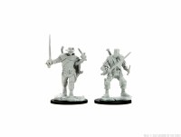 D&D Nolzurs Marvelous Miniatures Human Male Bards