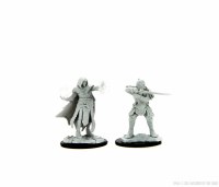 D&D Nolzurs Marvelous Miniatures Hobgoblin Fighter Male & Hobgoblin Wizard Female