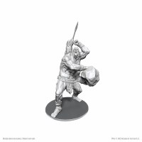 D&D Nolzurs Marvelous Miniatures Brohg
