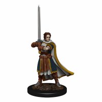 D&D Icons of the Realms Premium Male Human Cleric D&D Icons of the Realms Premium Male Human Cleric