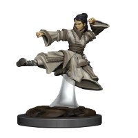D&D Icons of the Realms Premium Female Human Monk