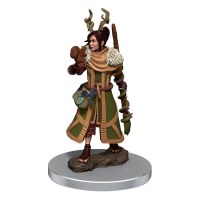 D&D Icons of the Realms Premium Female Human Druid