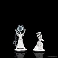 D&D Nolzurs Marvelous Miniatures Drow Male Mage & Drow Priestess