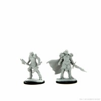 D&D Nolzurs Marvelous Miniatures Dragonborn Fighter Female & Male