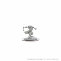 D&D Nolzurs Marvelous Miniatures Female Oni