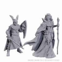 D&D Nolzurs Marvelous Miniatures Limited Edition 50th Anniversary Elves