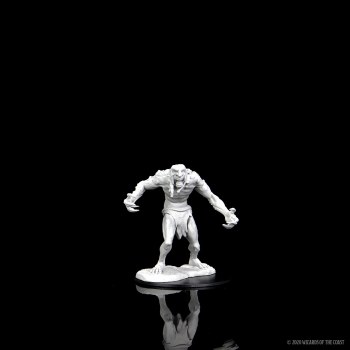 D&D Nolzurs Marvelous Miniatures Raging Troll