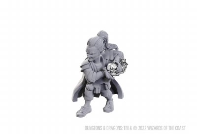 D&D Nolzurs Marvelous Miniatures Pirate Deck Gnome Male Wizard
