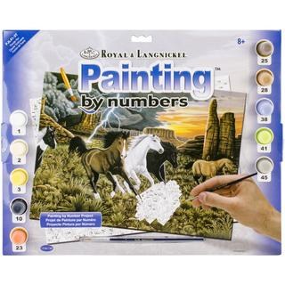 Paint By Numbers Kit
