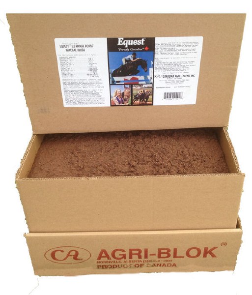 Equest 1 Cell Mineral Block