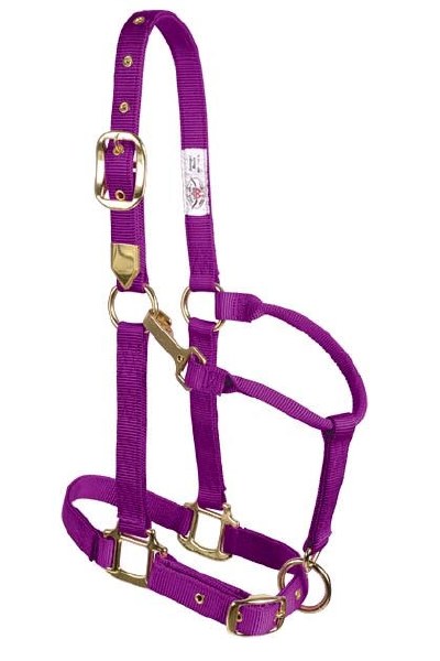 Halter-Nylon 1" ZDC NVY L