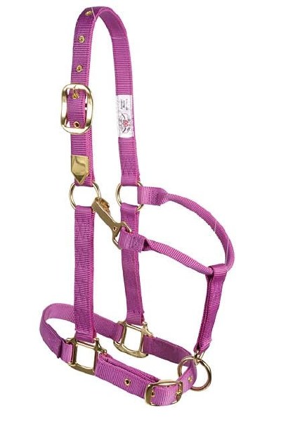 Signature Classic Halter with Snap