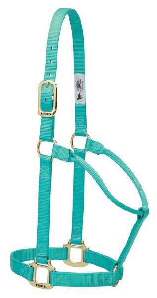 Halter-1" LG NonAdj MV