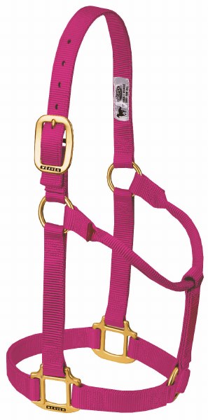 Original Non-Adjustable Halter: Solids
