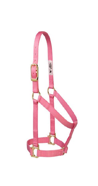 Baisc Nylon Halter