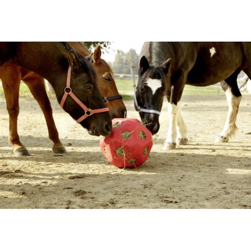 Heuboy Feed Ball Blue