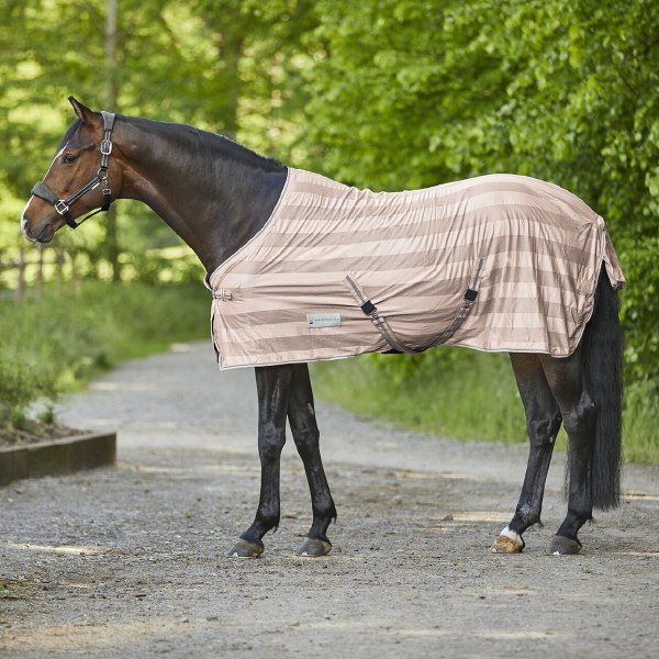 Economy Fly Sheet Silver