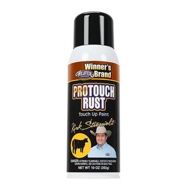 Pro Touch Rust Paint