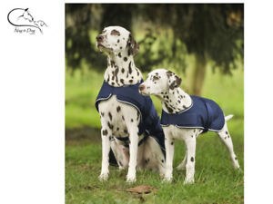 K9 Raincoat